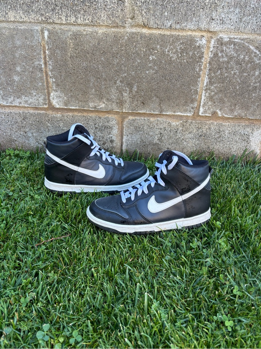 Nike Grade School Dunk HI